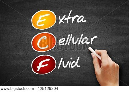 Ecf - Extracellular Fluid, Acronym Concept On Blackboard