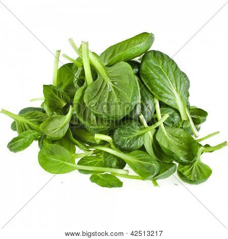 ผักโขมสีเขียวใบไม้สดหรือ pak choi แยกต่างหากบนพื้นหลังสีขาว
