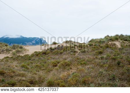 Dunes With Plants At Laredo Beach, Cantabria, Spain, Europe