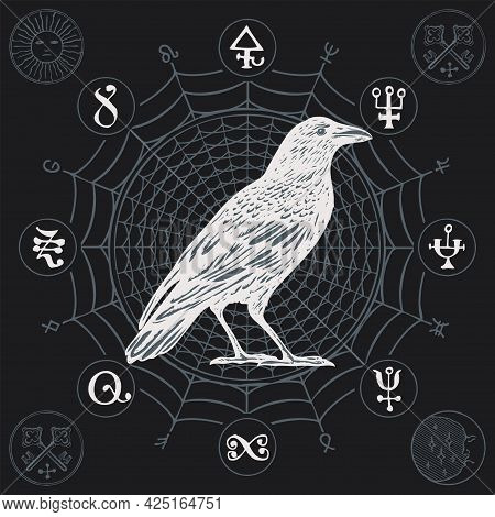 Banner On The Theme Of Witchcraft With A Wise White Crow In Vintage Style. Vector Illustration With 
