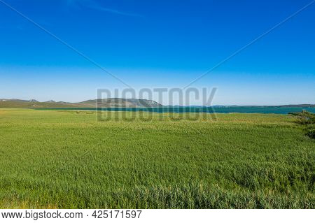 Beautiful Ornithological Nature Park Vrana (vransko Jezero) In Dalmatia, Croatia