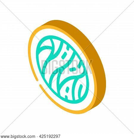 Cellulose Nutrition Fact Isometric Icon Vector. Cellulose Nutrition Fact Sign. Isolated Symbol Illus