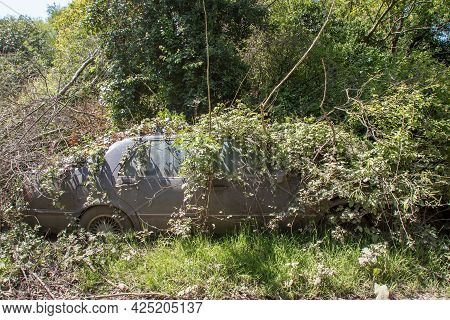 Old Abandoned Car Covered In Undergrowth. Vehicle Reclaimed By Nature. Vintage Motor Car Hidden In F