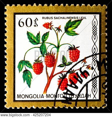 Mongolia - Circa 1986: A Postage Stamp From Mongolia Showing Berries Rubus Sachalinensis Levl