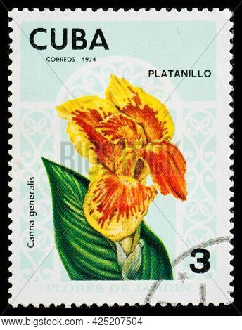 Cuba - Circa 1974: A Postage Stamp From Cuba Showing Garden Flowers Platanillo