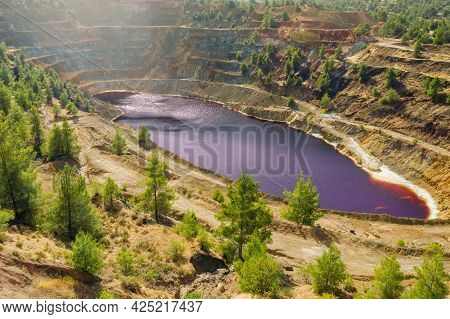 Reforestation Of Surface Mining Area. Pine Trees Growing On Terraces Of Old Copper Mine In Mitsero, 