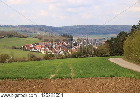 View of the town of Weil der stadt in the Boeblingen district