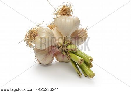 Bunch Of Heads Of Garlic On White Background With Soft Shadow