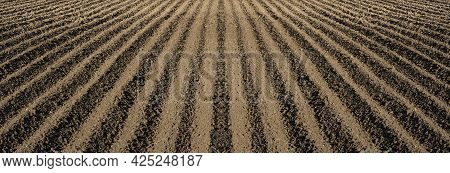 Deep Furrows In The Ground After Plowing, Panoramic View