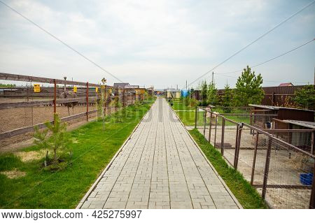 Kemerovo, Russia - 16.05.2021: Farm Animals And Birds In A Private Contact Zoo - Ostrich Ranch In Ke