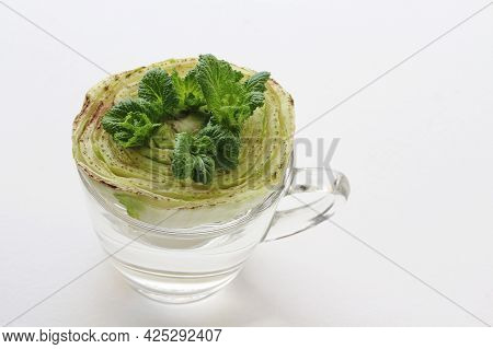 Chinese Cabbage Re-sprouts From The Old Plant In A Glass With Water On White Background. Vegetables 