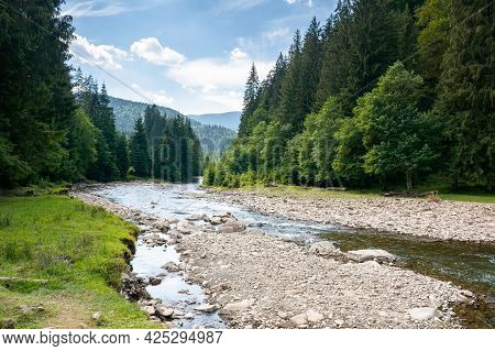 Mountain River Runs Through Forested Valley. Countryside Scenery On A Summer Day. Trees And Stones O