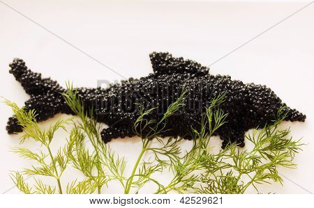 Caviale e aneto