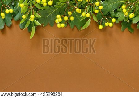 Autumn Oak And Rowan Branches With Red Berries On Brown Background.
Flat Lay, Top View, Copy Space C