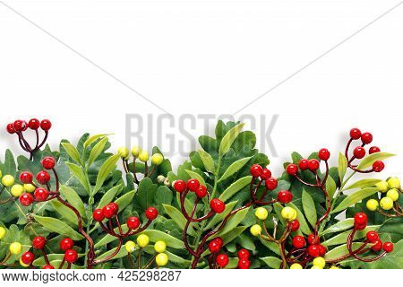 Autumn Oak And Rowan Branches With Red Berries On  White Isolated Background.
Flat Lay, Top View, Co