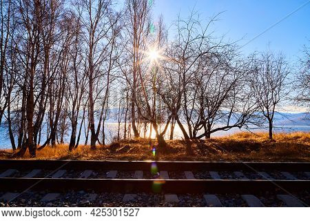 Circum Baikal Railway Running Along The Shore Of Lake Baikal On An Autumn Sunny Day With A Yellow La
