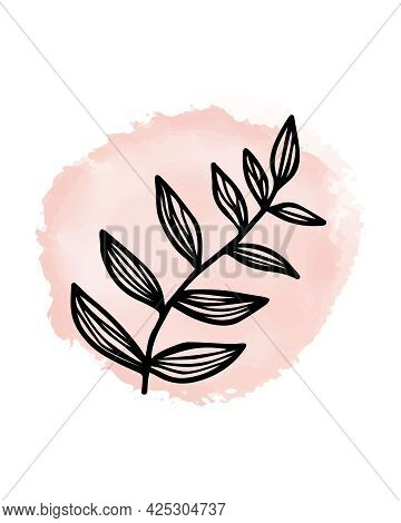 Branch With Leaves On Watercolor Round Spot Background. Hand Drawn Plant Sprig For Social Media Cove