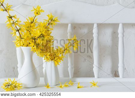 Forsythia  In Vase On Vintage White Background