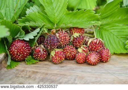Wild Strawberry Berries And Leaves On Wooden Background With Copy Space. Summer Background. Concept