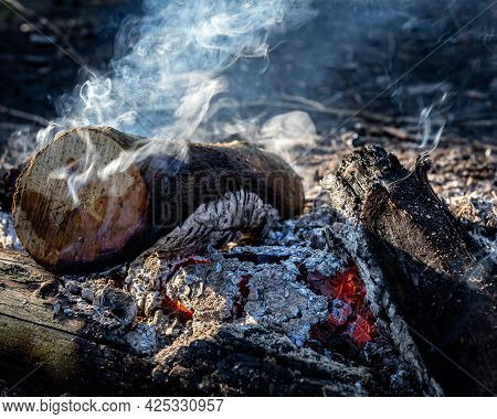 Campfire Burning Out, With No Flames, Just Smoke, Heat, Wood And Ash.