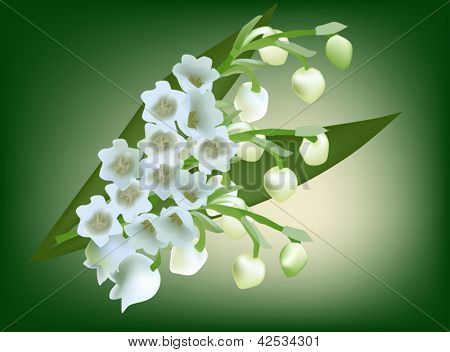 illustratie met lelietje-van-dalen boeket op groene achtergrond