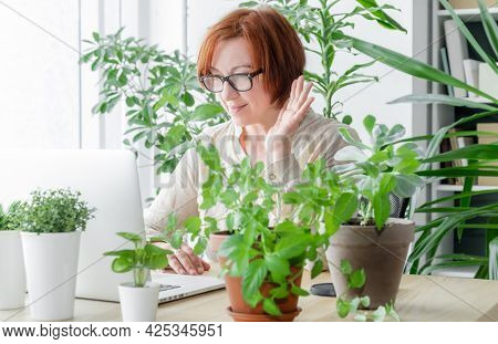 Happy Woman Or Teather On The Her Wapkplace Looking On The Skreen Laptop, Online Communication Conce