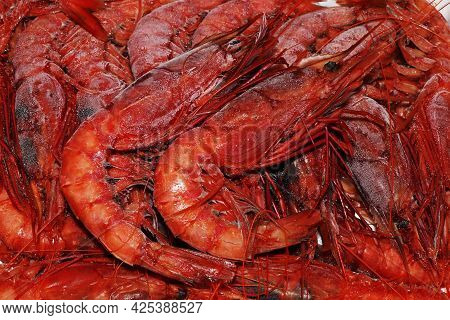 Italian Red Prawns Or Shrimps In Close Up Known As Gambero Rosso
