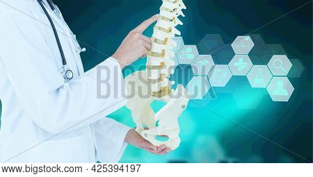 Mid section of doctor holding human spine model against medical icons on green background. medical research and science technology concept