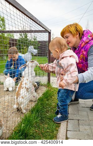 Kemerovo, Russia - 16.05.2021: Feeding Of Farm Animals In A Private Contact Zoo - Ostrich Ranch In K