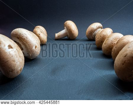Champignons On A Black Textured Board, Close Up.