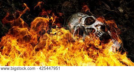 In Front Of Human Skull Buried On Fire In The Soil With The Roots Of The Tree On The Side. The Skull