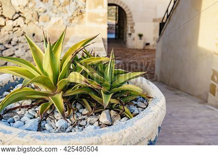 Coastal Fortification, Internal Courtyard Of Castle Near The Town Of Los Banos De Guardias Viejas, A