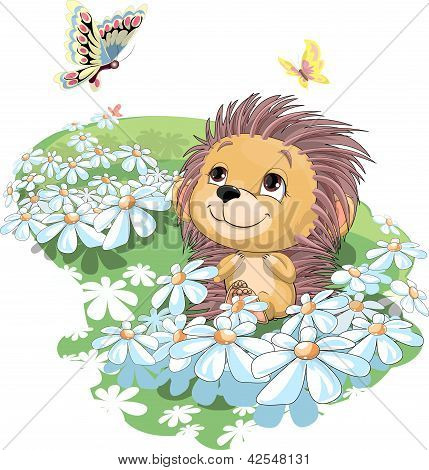 Kirpi ve Butterfly.eps