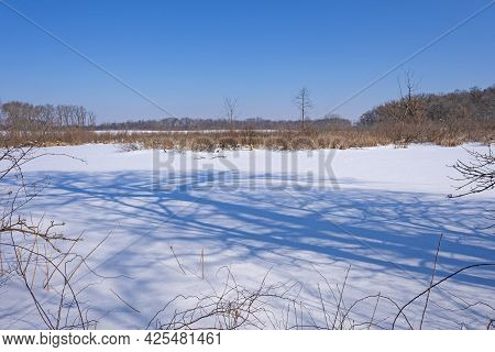 Tree Shadows Looming Over A Frozen Wetland In The Crabtree Nature Preserve In Illinois