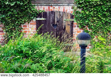 Old wooden doors and red brick wall overgrown with ivy in Ustka, Poland.