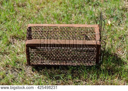 Empty  Old Steel Cage For Mousetrap Placed On  Green Grass. The Rat Trap Is Stil