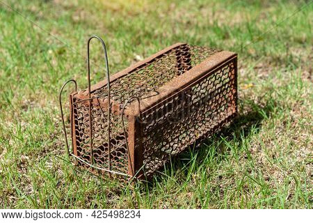 Empty  Old Steel Cage For Mousetrap Placed On  Green Grass. The Rat Trap Is Stil