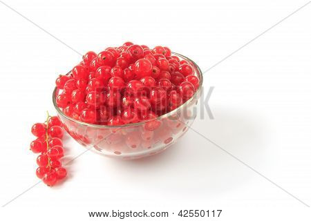 Rojo grosella (Ribes rubrum)