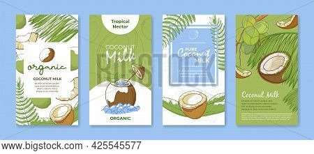 Collection Different Coconut Milk Vertical Banners Vector Flat Illustration Tropical Organic Nectar