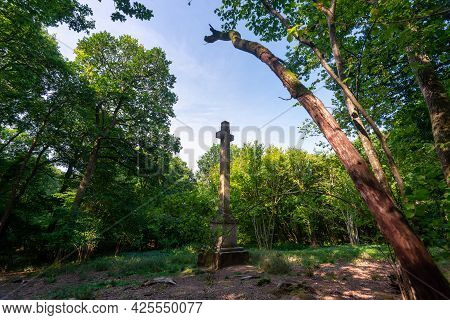 Dead Mans' Plack,harewood Forest,hampshire,united Kingdom.