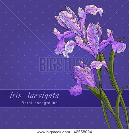 blueflag