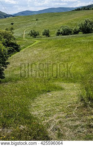 Meadow Near Lucka Village, Slovak Republic. Hiking Theme. Seasonal Natural Scene.