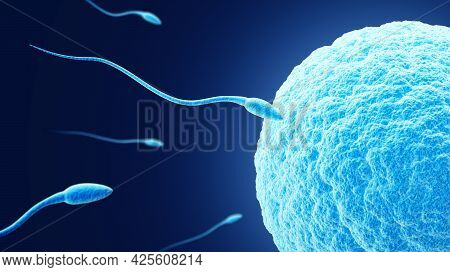 Fertilization. Egg And Sperm. Dark Blue Background.  Spermatozoon And Ovum. 3d Illustration.