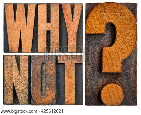 Why not question in letterpress wood type blocks isolated on white, teasing concept