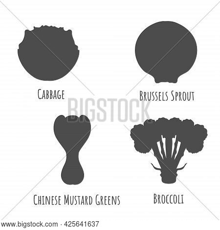 Icons With Cabbage Vegetables Isolated On White