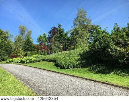 Park At Feldli Cemetery In Saint Gallen (park Auf Dem Friedhof Feldli In Sankt Gallen), St. Gallen -