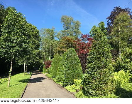 Park At Feldli Cemetery In Saint Gallen (park Auf Dem Friedhof Feldli In Sankt Gallen), St. Gallen -