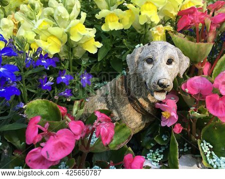 Flowers And Botanical Details At Feldli Cemetery In Saint Gallen (blumen Und Botanische Details Auf 