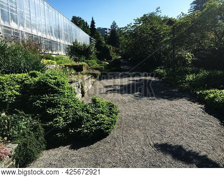 Landscape Of The Botanical Garden St. Gallen Or Landschaft Des Botanisches Garten St. Gallen, Schwei