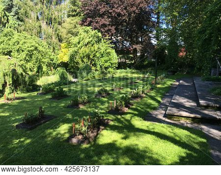 Landscape Of The Botanical Garden St. Gallen Or Landschaft Des Botanisches Garten St. Gallen, Schwei